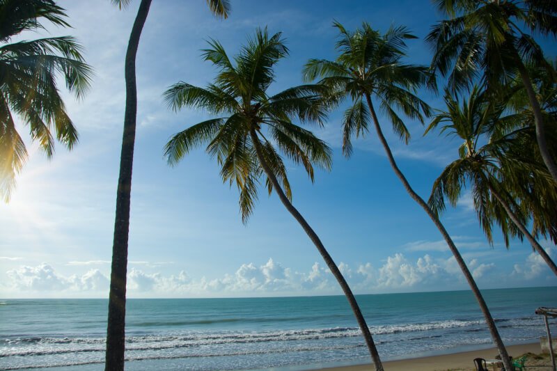 How To Plan A Beach Day In Florida