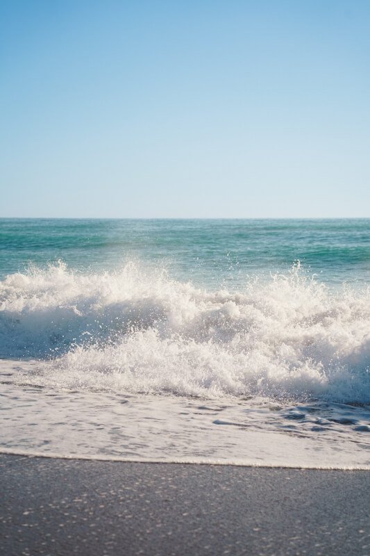 How To Plan A Romantic Beach Picnic In Florida