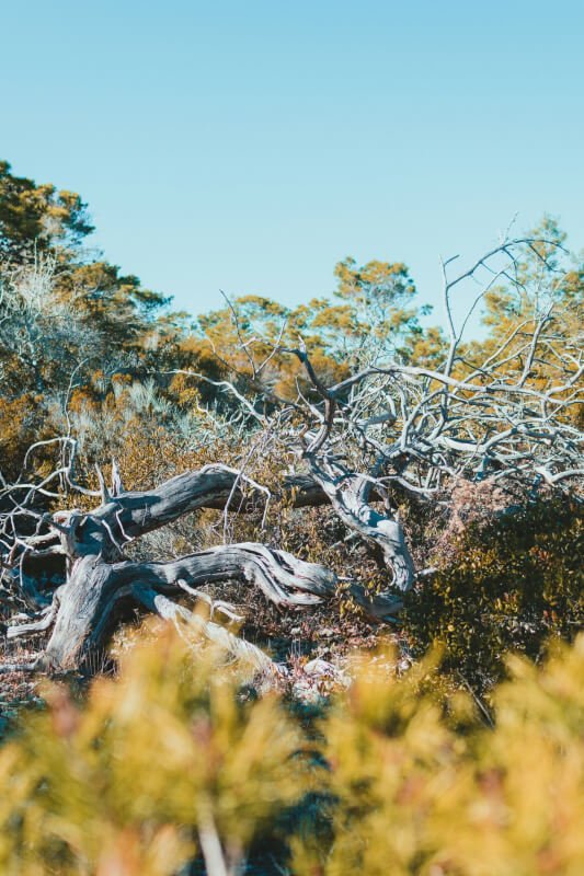 Beach Hiking Trails In Florida