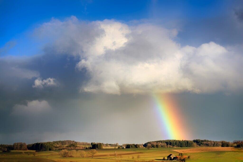 What Is The Weather Like In Coastal Florida Year-round?